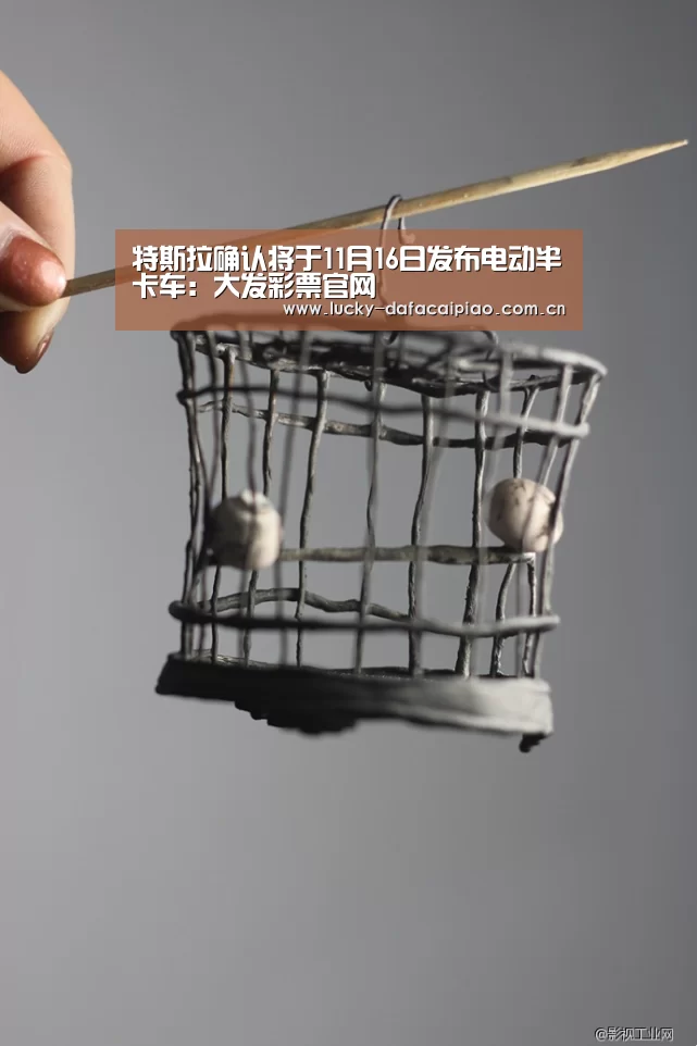 特斯拉确认将于11月16日发布电动半卡车：大发彩票官网